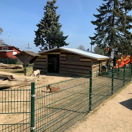 Feriehus In Hoben Mit Grill Und Terrasse By Interhome